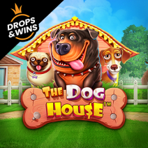 Official Slots logo: The Dog House by Pragmatic Play at Big Casino